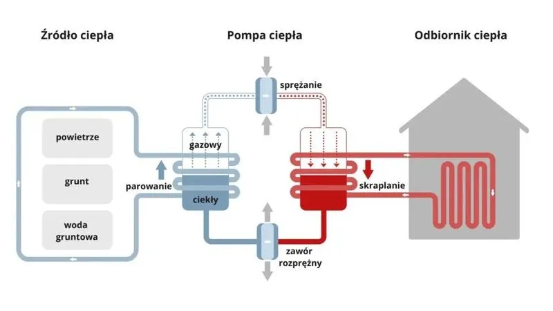 Jak zastąpić ekogroszek — alternatywy i opinie z forum